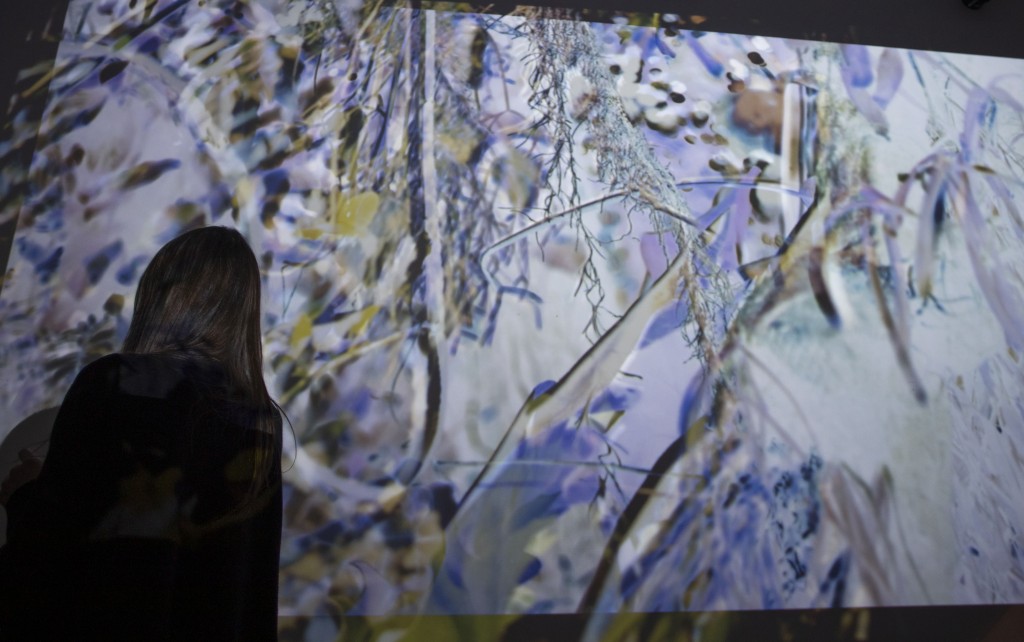 6_Zuzanna Sadowa_Inwolucja_2024