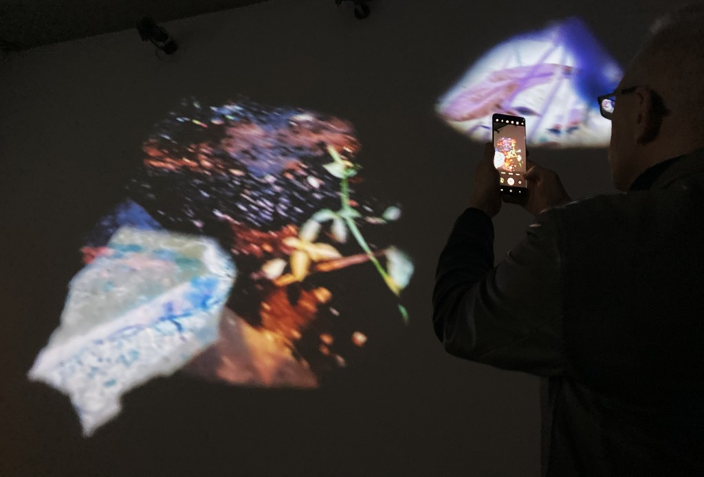 6_alternatywne_Zuzanna Sadowa_Inwolucja